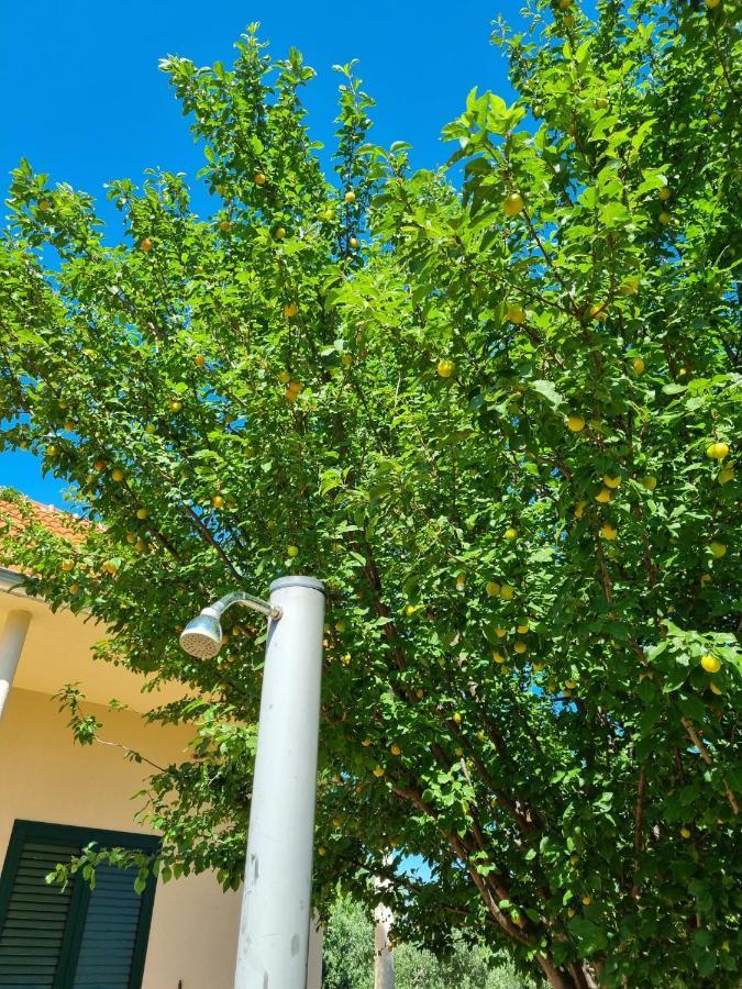 Holiday House Cikola Villa Kaocine Exterior photo